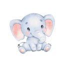 Daxiang Cracked VPN, 巨象破解版梯子