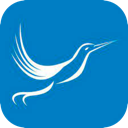 Fengniao Cracked VPN, 蜂鸟应用破解版梯子